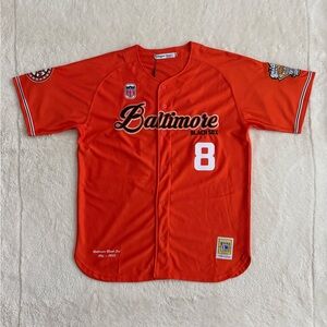 Baltimore Black Sox Baseball Jersey, N3GRO League Champions 1929, Dixon, NWT